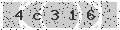 verify code